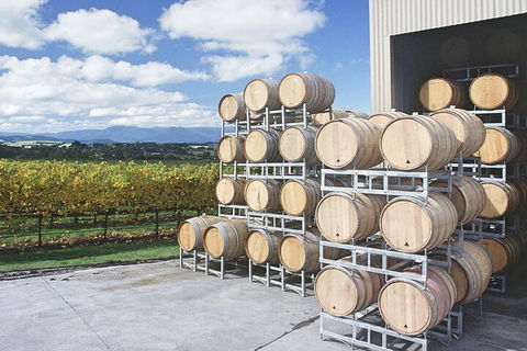 Yarra Valley Wine Tour Inc Lunch With A Glass Of Wine, Tastings And Chocolate - Accommodation Gladstone 4