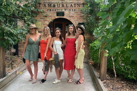 A Full Day Hunter Valley Wine Tasting Tour With Lunch And Tasting Fee's Included - Accommodation Gladstone 4