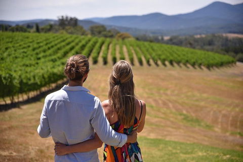 Yarra Valley Wine, Bubbles And Gin Tour! - Accommodation Gladstone 4