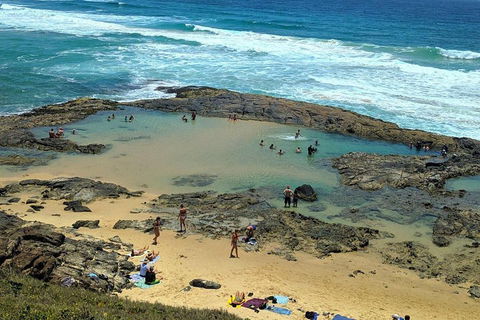 Pippies 3 Days 2 Nights Fraser Island Tour - Accommodation Gladstone 5