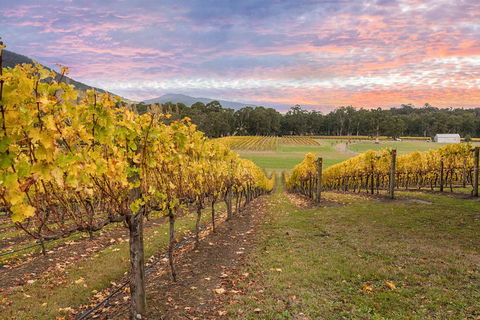 Yarra Valley Boutique Winery Tour From Melbourne - Accommodation Gladstone 3