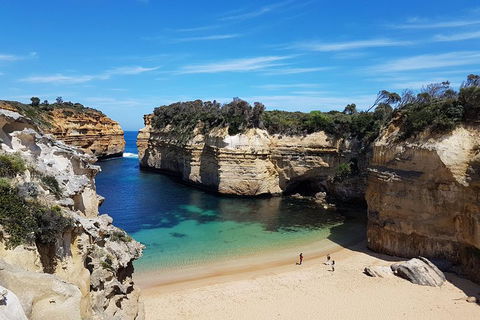 Helicopter Flight + Fine Dining Private Luxury Great Ocean Road Tour - Accommodation Gladstone 1