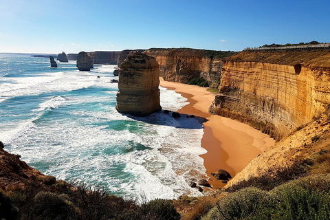 Helicopter Flight + Fine Dining Private Luxury Great Ocean Road Tour - Accommodation Gladstone 4