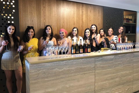 Yarra Valley Public Winery Tours - Accommodation Gladstone 0