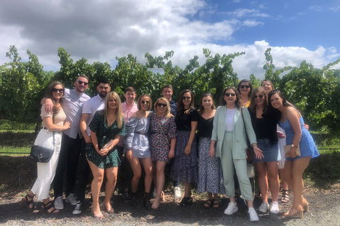 Yarra Valley Public Winery Tours - Accommodation Gladstone 3