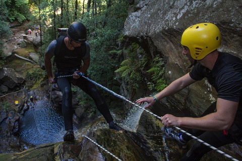 Blue Mountains Empress Canyon Adventure From Wentworth Falls - Accommodation Gladstone 2