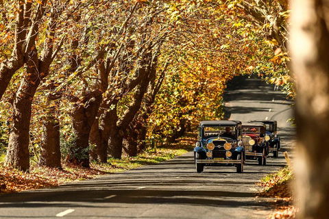 Blue Mountains Vintage Cadillac Tour With Local Guide - Accommodation Gladstone 1