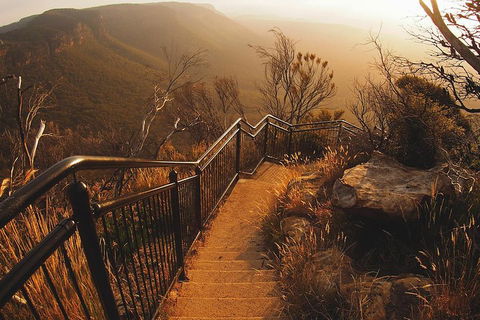 Blue Mountains Vintage Cadillac Tour With Local Guide - Accommodation Gladstone 3