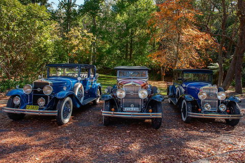Blue Mountains Vintage Cadillac Tour With Local Guide - Accommodation Gladstone 4