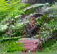 Full-Day Guided Hinterland Adventure Tour in Queensland - Accommodation Gladstone