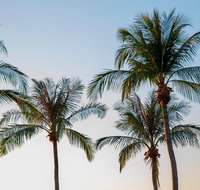 Darwin City Sightseeing Tour - Accommodation Gladstone