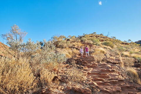 Kings Canyon Guided Rim Walk - Accommodation Gladstone 1