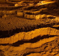 The Explorers' Discovery Tour - Gold Wine  Wildlife