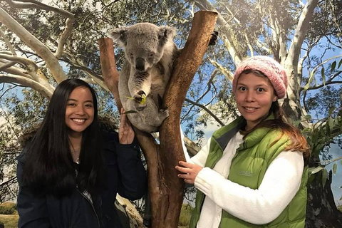Australia Multi-City Attractions Pass - Accommodation Gladstone 3