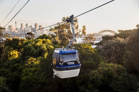 Australia Multi-City Attractions Pass - Accommodation Gladstone 5