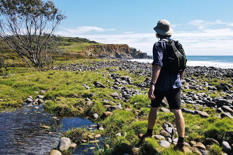 Half Day Guided Small Group Walk - Accommodation Gladstone 0