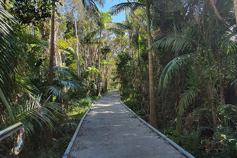 Half Day Guided Small Group Walk - Accommodation Gladstone 3