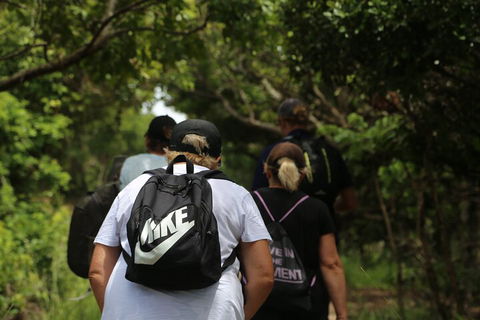 Half Day Guided Small Group Walk - Accommodation Gladstone 4