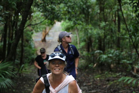 Half Day Guided Small Group Walk - Accommodation Gladstone 5
