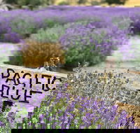 Kangaroo Island Food and Wine Trail Tour - Accommodation Gladstone