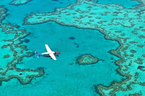Fly & Sail Package (With Providence) - Accommodation Gladstone 4