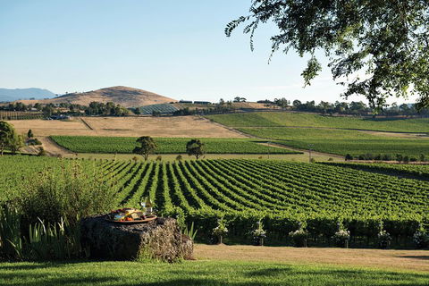 Yarra Valley 2-6 Guests Premium Food And Wine Inc Lunch At Dominique Portet - Accommodation Gladstone 2