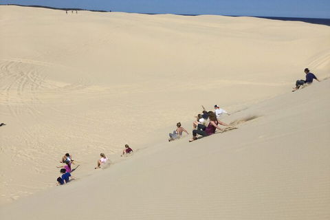 Port Stephens Bush, Beach And Sand Dune 4WD Passenger Tour - Accommodation Gladstone 4