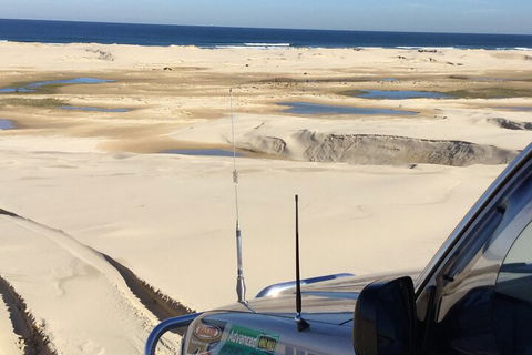 Port Stephens Bush, Beach And Sand Dune 4WD Passenger Tour - Accommodation Gladstone 5