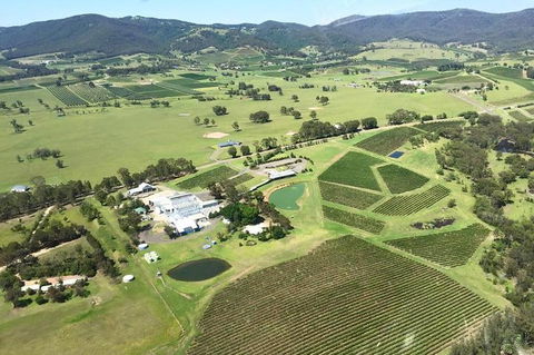 Helicopter Tour Of Hunter Valley In New South Wales With Lunch - Accommodation Gladstone 4