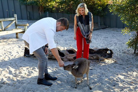 Albany's Whale Story - Accommodation Gladstone 1