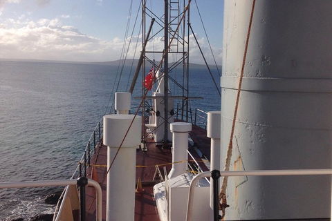 Albany's Whale Story - Accommodation Gladstone 2