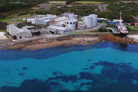Albany's Whale Story - Accommodation Gladstone 4