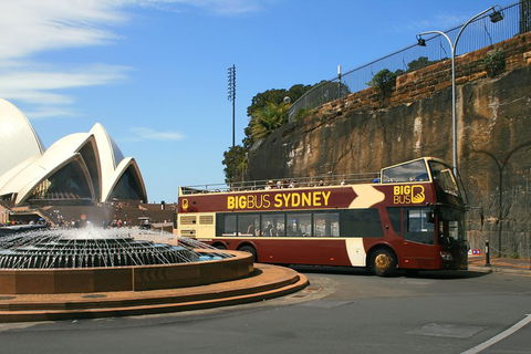 Big Bus Sydney And Bondi Hop-on Hop-off Tour - Accommodation Gladstone 3