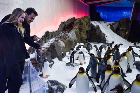 Penguin Passport At SEA LIFE Melbourne Aquarium - Accommodation Gladstone 0