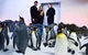 Penguin Passport At SEA LIFE Melbourne Aquarium - thumb 4