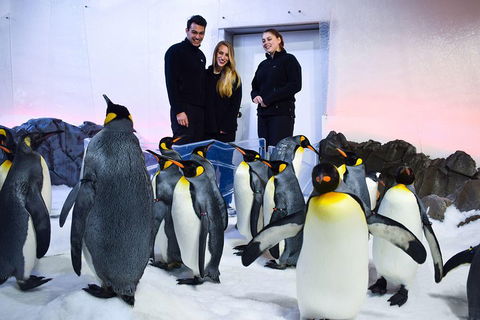 Penguin Passport At SEA LIFE Melbourne Aquarium - Accommodation Gladstone 4