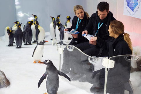 Penguin Passport At SEA LIFE Melbourne Aquarium - Accommodation Gladstone 5