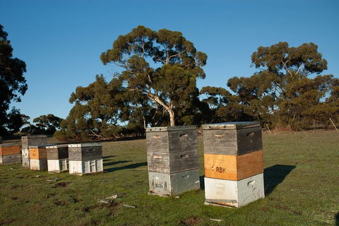 Fine Flavours - Full Day Kangaroo Island Food & Wine Tour - Accommodation Gladstone 1