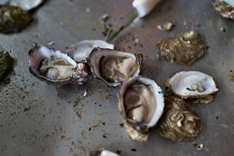 Fine Flavours - Full Day Kangaroo Island Food & Wine Tour - Accommodation Gladstone 2