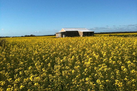 Fine Flavours - Full Day Kangaroo Island Food & Wine Tour - Accommodation Gladstone 3