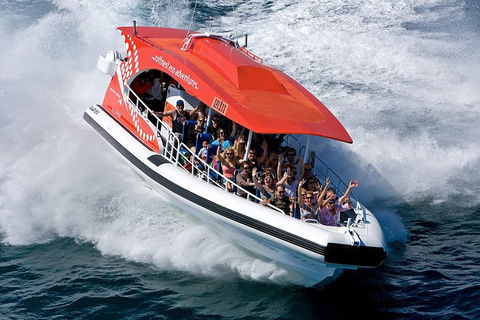 Adventure Rottnest Tour With Ferry & Adventure Cruise From Perth Or Fremantle - Accommodation Gladstone 2