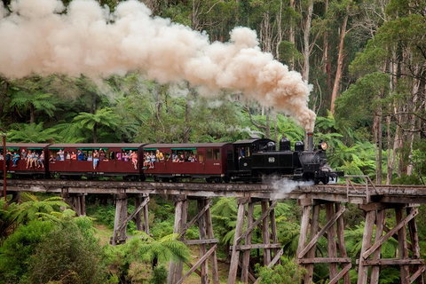 Melbourne Combo: Great Ocean Road, Puffing Billy, Moonlit Sanctuary & Penguins - Accommodation Gladstone 1