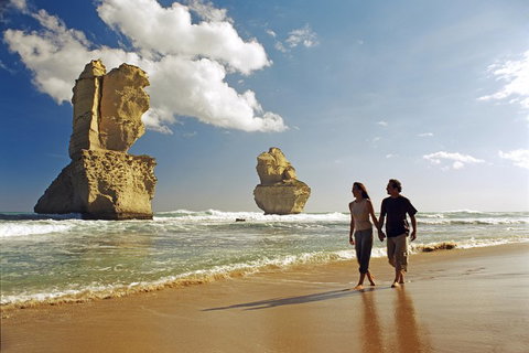 Melbourne Combo: Great Ocean Road, Puffing Billy, Moonlit Sanctuary & Penguins - Accommodation Gladstone 2