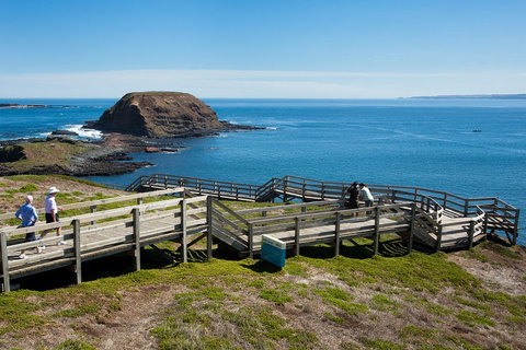 Melbourne Combo: Great Ocean Road, Puffing Billy, Moonlit Sanctuary & Penguins - Accommodation Gladstone 5