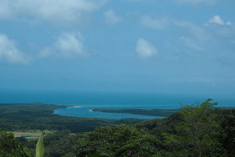 Cape Tribulation, Daintree Rainforest And Wildlife Tour - Accommodation Gladstone 1