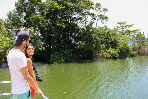 Cape Tribulation, Daintree Rainforest And Wildlife Tour - Accommodation Gladstone 2