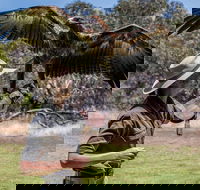 One Day Kangaroo Island Sip  See tour with return ferry transfers from Adelaide - Accommodation Gladstone