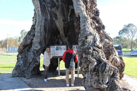 Barossa And Hahndorf Day Trip From Adelaide Including Wine Tasting And Lunch - Accommodation Gladstone 1