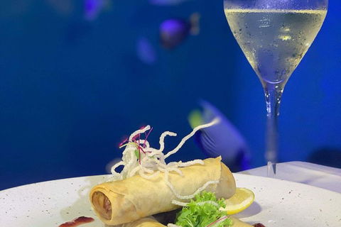 Cairns Aquarium And Small Group City Sightseeing Tour - Accommodation Gladstone 5