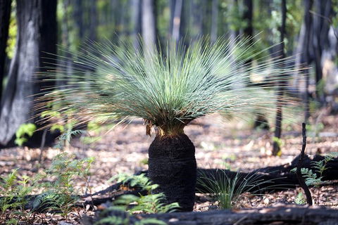 Adelaide To Melbourne 3-Day Trip Through Grampians And Great Ocean Road - Accommodation Gladstone 4
